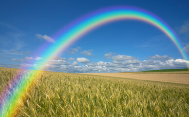  麦畑と雲と虹
