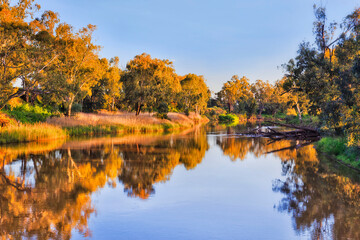 Wall Mural - D Dubbo yellow footbridge