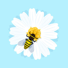 Honey Bee Is Sitting On The Flower