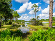 Webb Lale in the  Fred C. Babcock/Cecil M. Webb Wildlife Management Area in Punta Gorda Florida USA