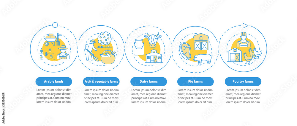 Farm Workflow Farm production types vector infographic template. Fruit and vegetables ...