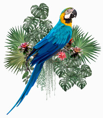 Wall Mural - Polygonal Illustration Blue & gold macaw.