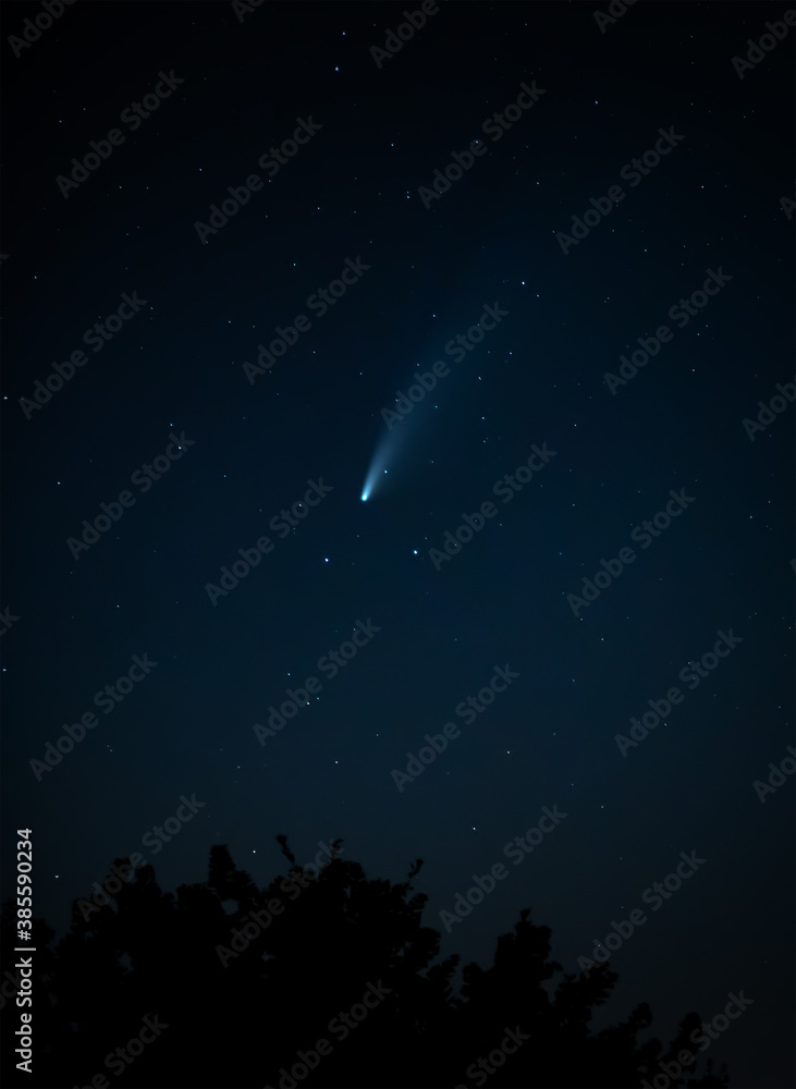 Comet Neowise tracking across the night sky above treetops Stock Photo ...
