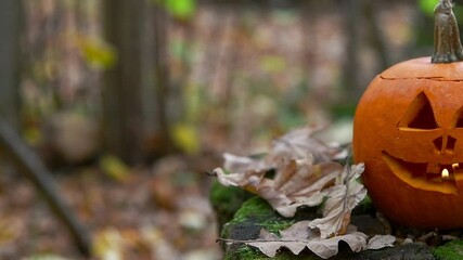 Wall Mural - Slow motion video. Orange Halloween pumpkin with  carved spooky face with burning candle inside of it stands in autumn forest by fallen leaves. Selective focus. Halloween theme.