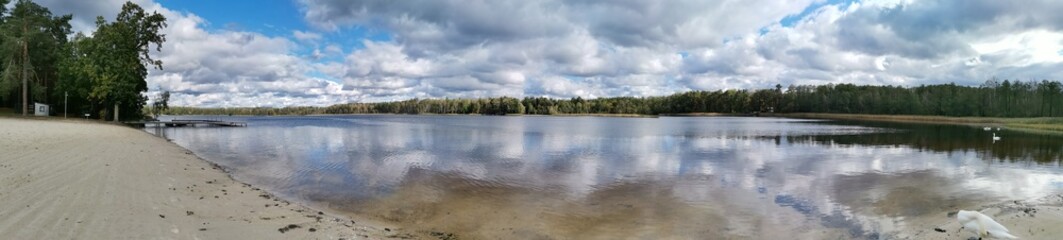 reflection of trees in the water