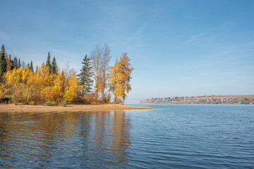 Wall Mural - autumn landscape, a beautiful forest on the banks of the river, the sunlight and the rays through ye