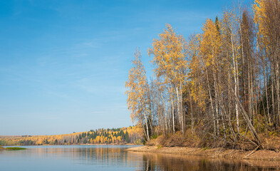 Wall Mural - autumn landscape, a beautiful forest on the banks of the river, the sunlight and the rays through ye