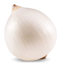 White Onion Isolated On White Background. Full Depth Of Field