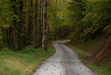 A Paved Winding Trail Leads To The Woods In The Fall. 