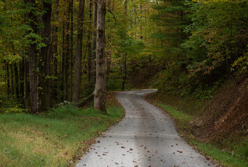 A paved winding trail leads to the woods in the Fall. 