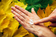 Female hands applying moisturizing cosmetic cream, close up. Blurry background of autumn foliage. Dry skin needs to hydrated and nourished. Concept of adulthood, reduced collagen production.