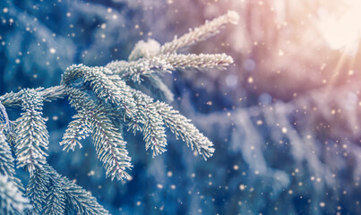 Wall Mural - Beautiful tree in winter landscape in late evening