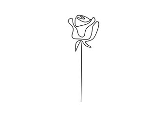 Wall Mural - One continuous single line rose design hand drawn minimalism style. Beautiful rose symbol of love isolated on white background. Romantic flower theme. Vector design illustration