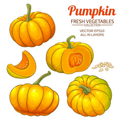 Sticker - pumpkin vector set