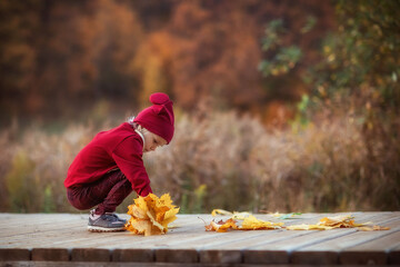 Wall Mural - girl walks in the autumn by the lake in the Park, playing with leaves, autumn bouquet, happiness, childhood