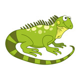 Fototapeta Dinusie - Funny green iguana. Cute exotic lizard isolated on white background. Reptile animal cartoon character. Education card for kids learning animals. Logic Games for Kids. Adorable inhabitants of jungle.