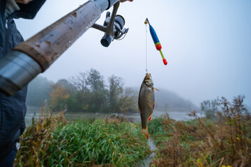 The fisherman and his catch. Small fish with red fins, line and fishing rod. Foggy morning by the river. Leisure and hobbies