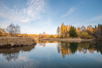 Wall Mural - autumn landscape, picturesque forest with a mirror symmetrical reflection in the river of yellow, go