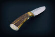 © Branislav - handmade custom fixed blade knife with antler handle. Isolated on black background.