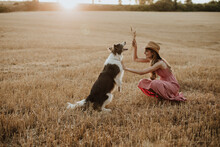 Woman Playing With Collie Dog In Wheat Field During Sunset