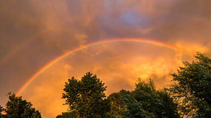 beautiful double rainbow after a storm with golden sunlight lighten the clouds and trees in the forground