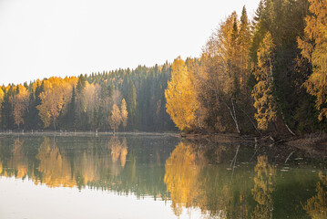 Wall Mural - Autumn landscape, a beautiful forest on the banks of the river, the sunlight and the rays through yellow, gold foliage. Bright colors of autumn on the trees.