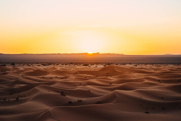 Wall Mural - sunset in the desert