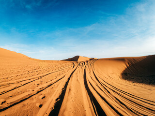 Wall Mural - sand dunes in the desert