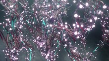 Glowing Seaweed With Bulbs Flowing