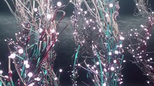 Electric Light Seaweed