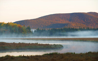 Wall Mural - landscape of morning river with fog and forest
