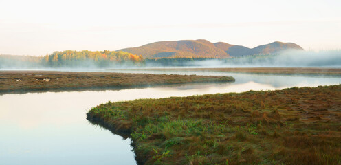 Wall Mural - landscape of morning river with fog and forest