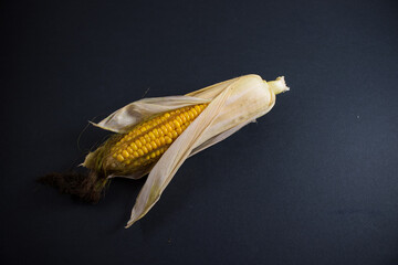 Corn lies on canvas. Fresh corn closeup. Corn cob on a plate. Sweet corn on background for food ingredients and cooking concept.