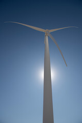 Wall Mural - View from below, white windmill on blue sky, sun flaring around tower