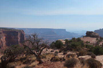 Wall Mural - Large canyon in Utah