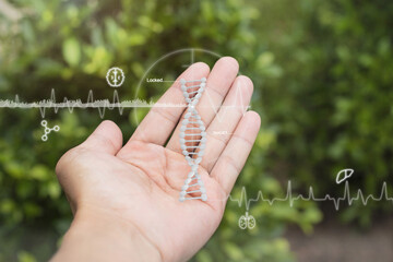 Health care medical and technology with hand-holding DNA structure locked target and Pulse signal and green nature background. Natural healing.