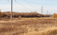 Autumn Landscape With Poles And Wires. Selective Focus.
