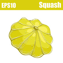  Isolated Color Squash