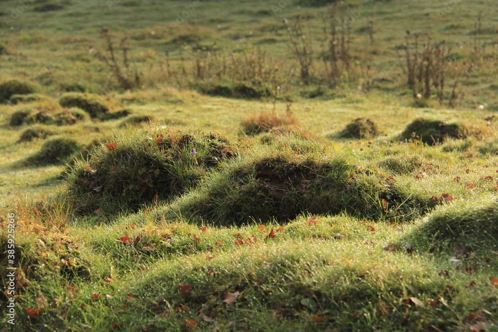 Bumps on the field Stock Photo | Adobe Stock