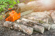 © FakeMoon - Gasoline powered professional chainsaw on pile of cut wood and timber, lumberjack and sawdust. Selected focus