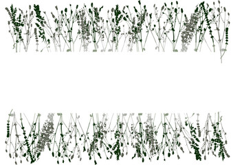 Borders with silhouettes of wild herbs and copyspace - background for natural design