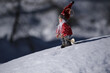 santa Claus on the snow