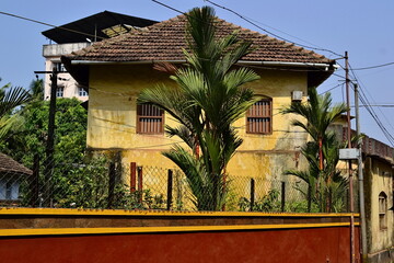 Colonial yellow house and green palm tree. High contrast colorful image with vintage building and tropical tree. Mangalore, India