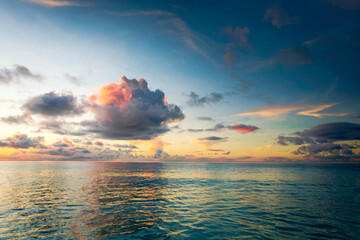 Canvas Print - Tropical beach