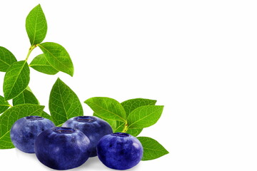 Wall Mural - fresh blueberry fruit with leaves closeup in white background