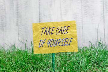 Wall Mural - Word writing text Take Care Of Yourself. Business photo showcasing a polite way of ending a gettogether or conversation Plain empty paper attached to a stick and placed in the green grassy land