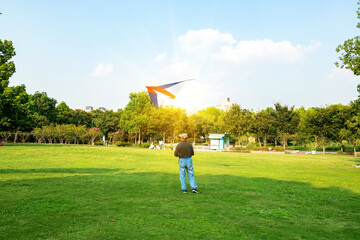 Wall Mural - Old people flying kites on the lawn of leisure park