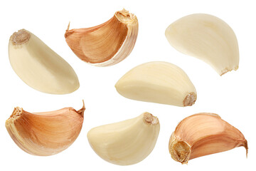 Wall Mural - Garlic vegetable isolated collection