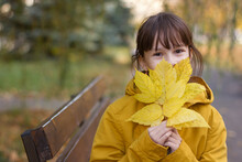 Cute Girl In Yellow Coat Sitting On The Bench. The Girl Holds An Armful Of Leaves
