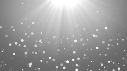 Wall Mural - 4k motion of bokeh sunlight natural bokeh dust abstract particles on white loop background. for over